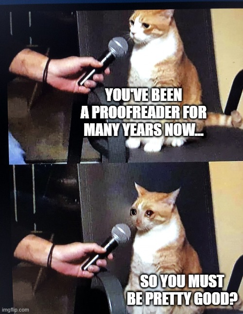 Cat interview meme - You've been a proofreader for many years now, so you must be pretty good?